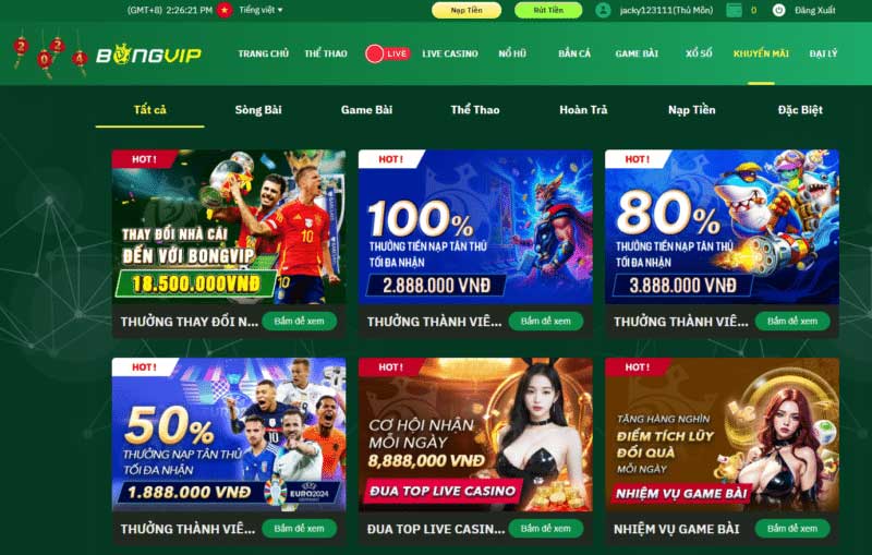 Các loại hình khuyến mãi bongvip